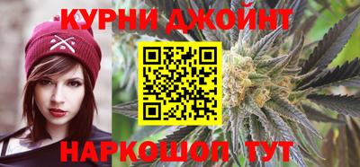 гидра Краснодар