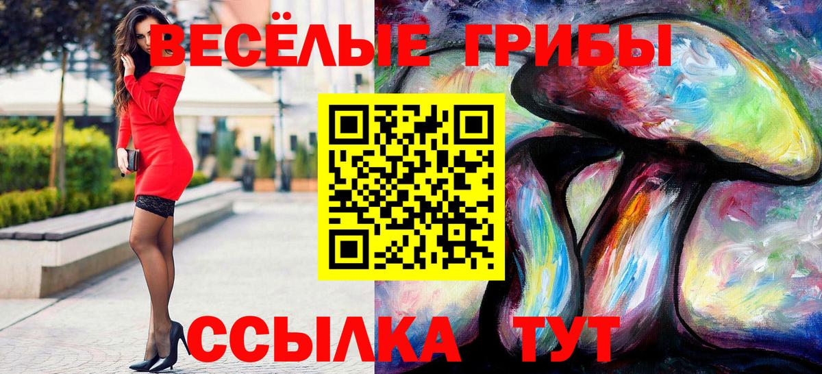 Псилоцибиновые грибы Magic Shrooms  Галлюциногенные грибы ЛСД  Вход с VPN  Чайковский 