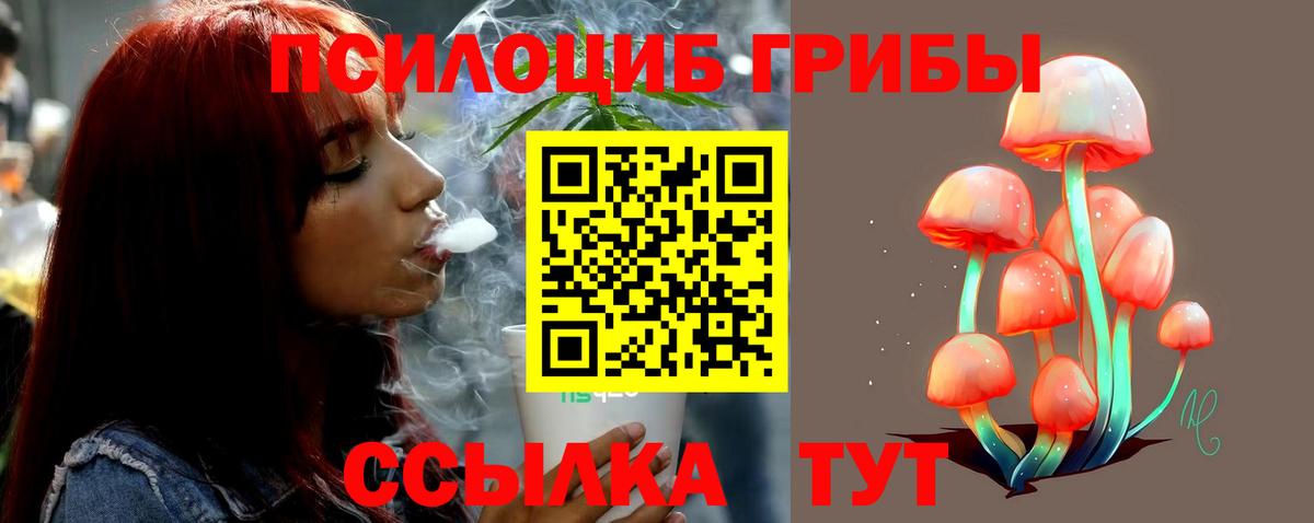 Псилоцибиновые грибы ЛСД Чайковский